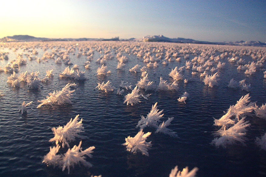 frozen-lake-pond-ice-4-1.jpg