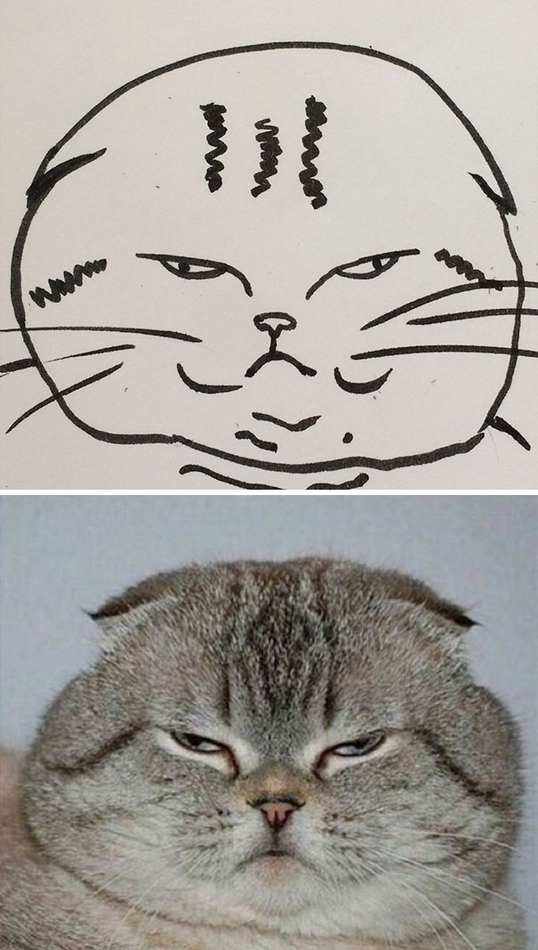 funny-poorly-drawn-cats-10-59705e77bbef5_605.jpg