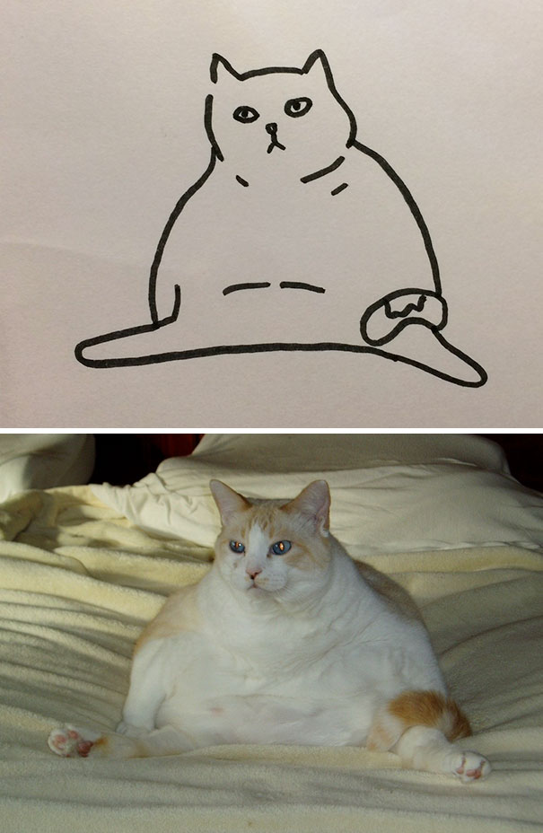 funny-poorly-drawn-cats-22-59705e9479e7d_605.jpg