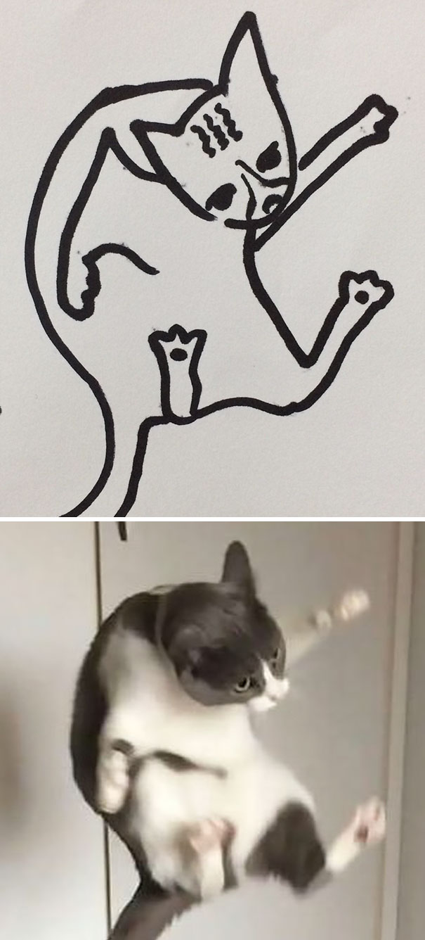 funny-poorly-drawn-cats-9-59705e75b3601_605.jpg