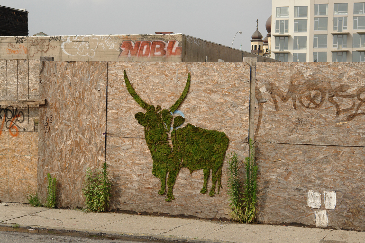 hungarian-cattle-goes-green_bklyn_2008.jpg