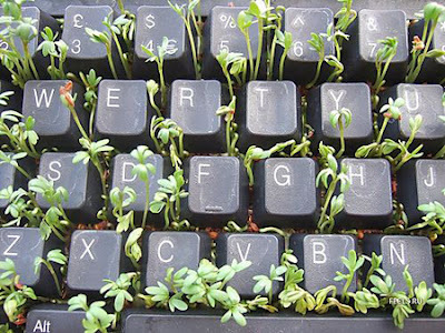 keyboard-art-fun-DIY-amazing-artistic-recycling-recycle-reuse-remade-gadgets-frame-photo-book-organizer-box-garden-tictactoe_(11)_large.jpg