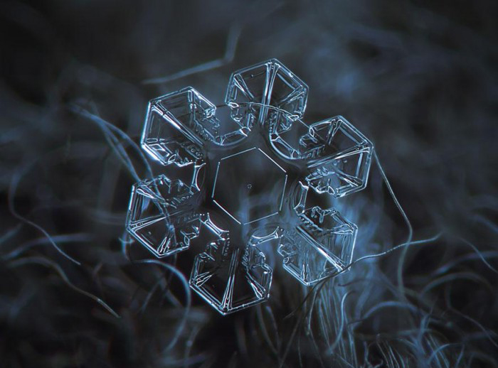 macro-photography-snowflakes-alexey-kljatov-1.jpg