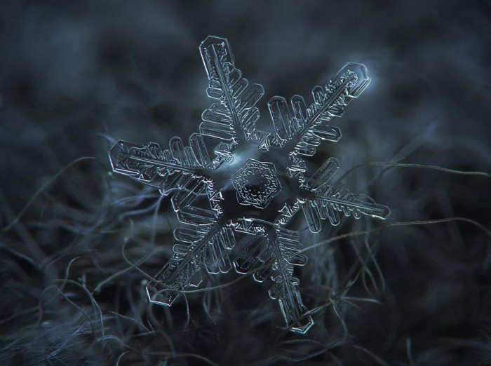 macro-photography-snowflakes-alexey-kljatov-11.jpg