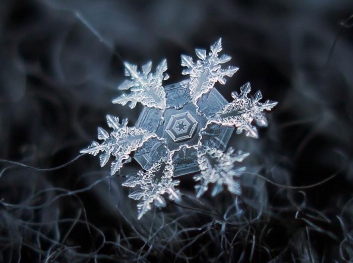 macro-photography-snowflakes-alexey-kljatov-18.jpg
