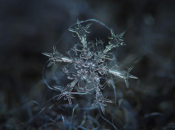 macro-photography-snowflakes-alexey-kljatov-2.jpg