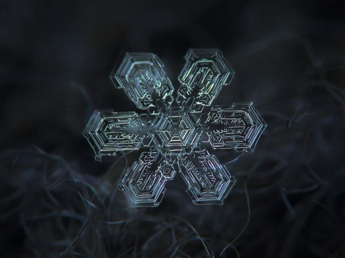 macro-photography-snowflakes-alexey-kljatov-4.jpg