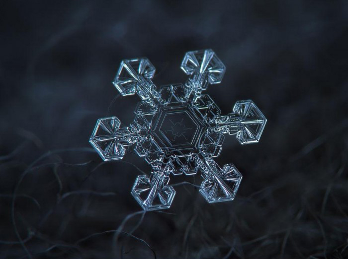 macro-photography-snowflakes-alexey-kljatov-5.jpg