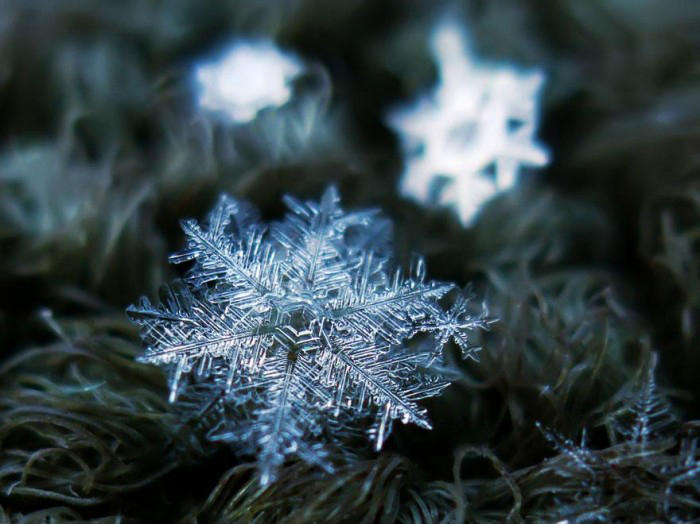 macro-photography-snowflakes-alexey-kljatov-9.jpg