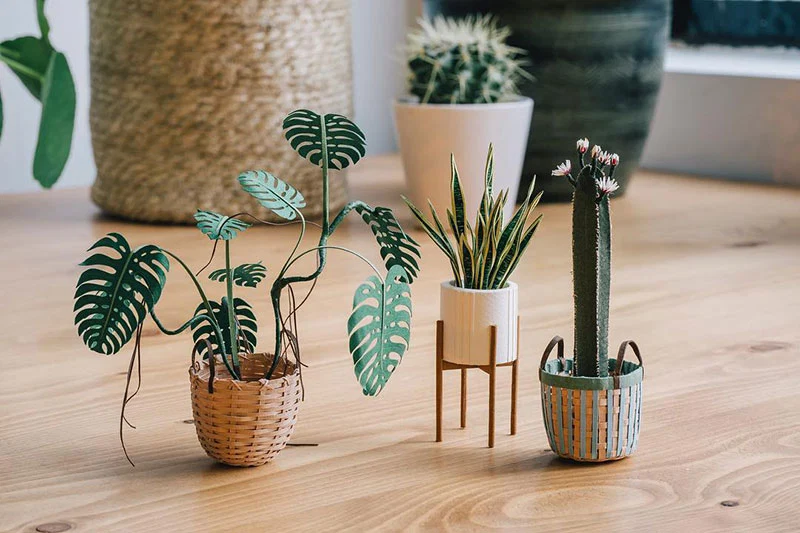 miniature-paper-potted-plants-by-raya-sader-bujana-2.jpg