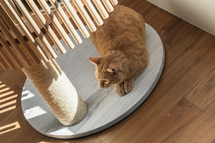 minimalist-cat-furniture-rinn-8.jpg