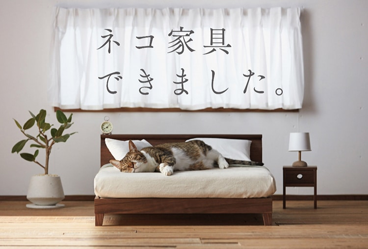 okawa-city-cat-furniture-1.jpg