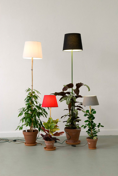 plant-lamp-01.jpg