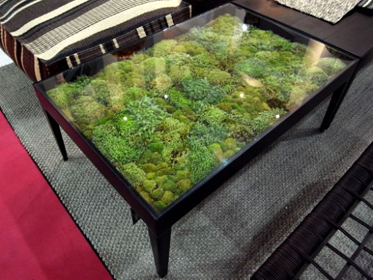 real-moss-tables-by-ayodhya-3.jpg