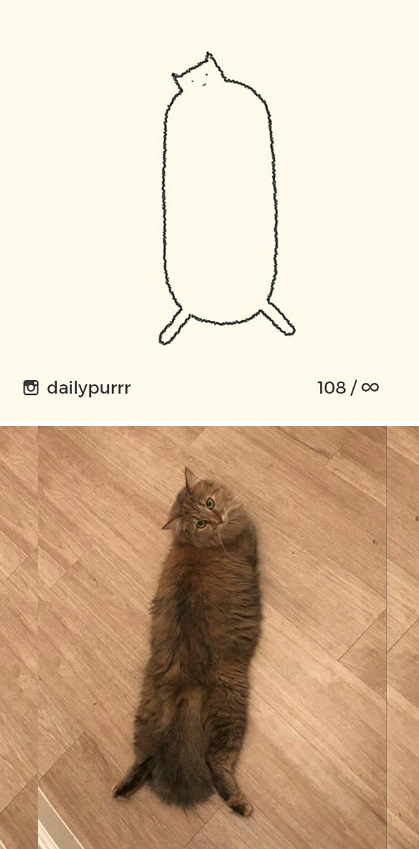 stupid-cat-drawings-dailypurrr-14-5af017b02104b_605.jpg