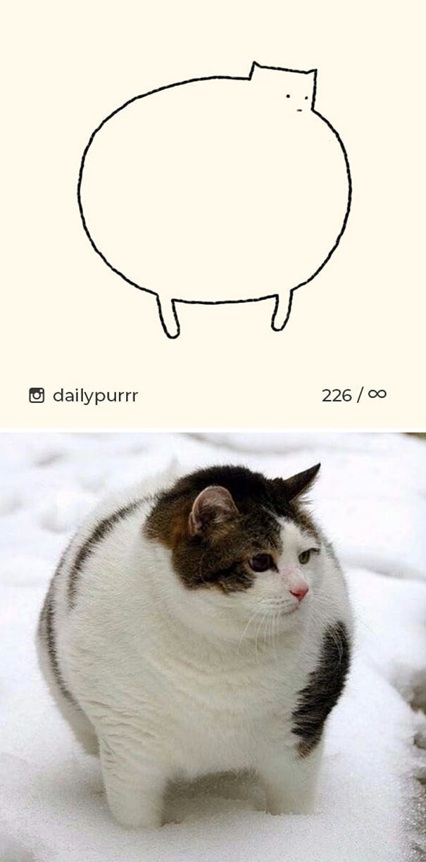 stupid-cat-drawings-dailypurrr-15-5af017b379655_605.jpg