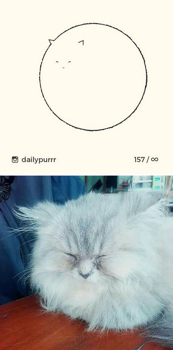 stupid-cat-drawings-dailypurrr-19-5af017bb0c12a_605.jpg