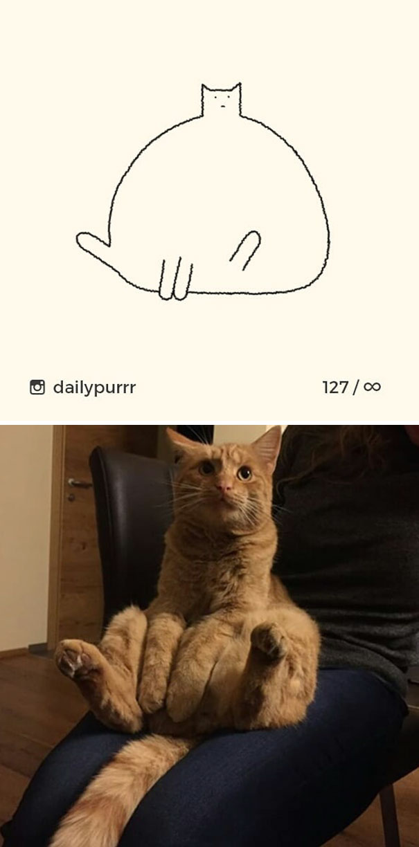stupid-cat-drawings-dailypurrr-25-5af017c79133f_605.jpg