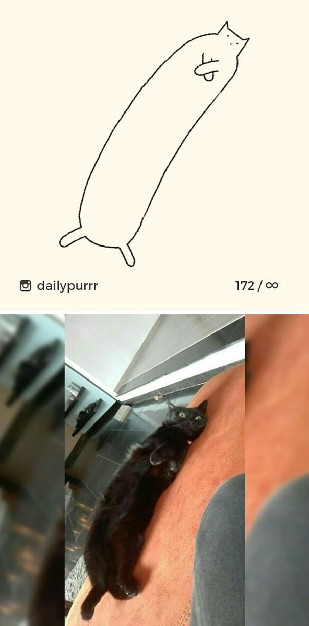stupid-cat-drawings-dailypurrr-26-5af017c952af7_605.jpg