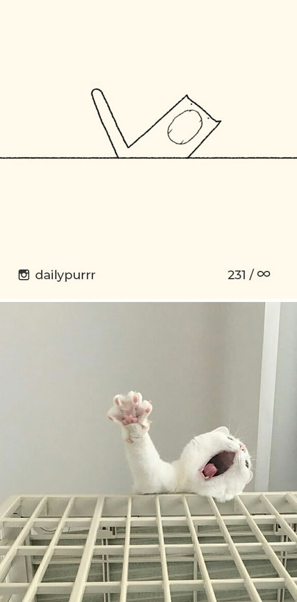 stupid-cat-drawings-dailypurrr-3-5af0179bc4700_605.jpg