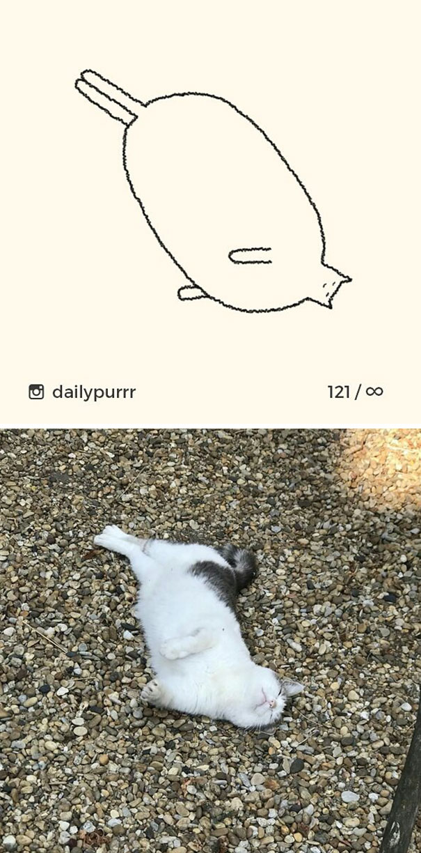 stupid-cat-drawings-dailypurrr-31-5af017d5c8c97_605.jpg