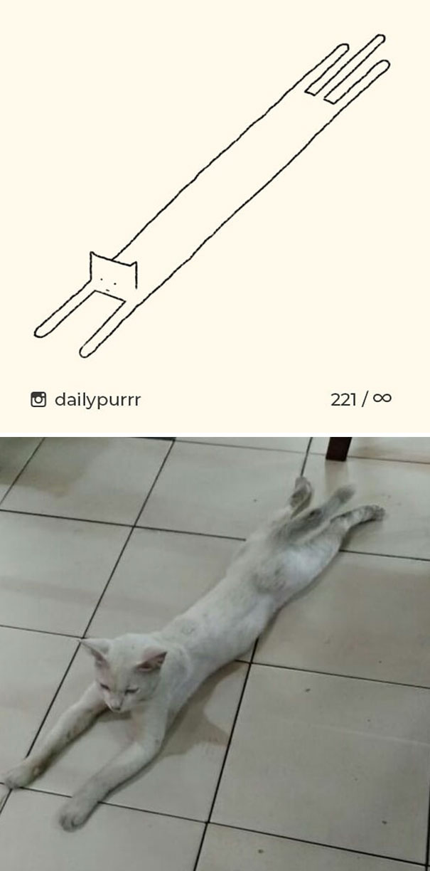 stupid-cat-drawings-dailypurrr-37-5af017e266a87_605.jpg