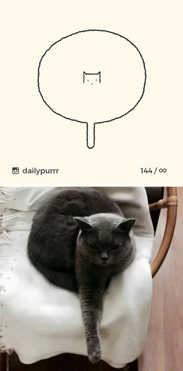 stupid-cat-drawings-dailypurrr-39-5af017e64e525_605.jpg