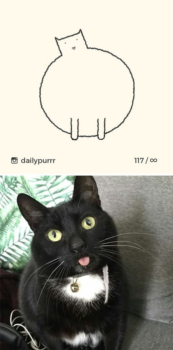 stupid-cat-drawings-dailypurrr-48-5af017f86b002_605.jpg