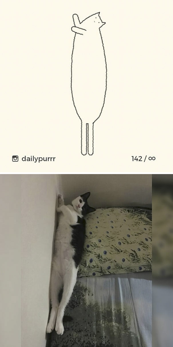 stupid-cat-drawings-dailypurrr-56-5af01f84f2e63_605.jpg