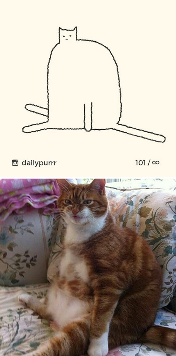 stupid-cat-drawings-dailypurrr-6-5af017a173e51_605.jpg
