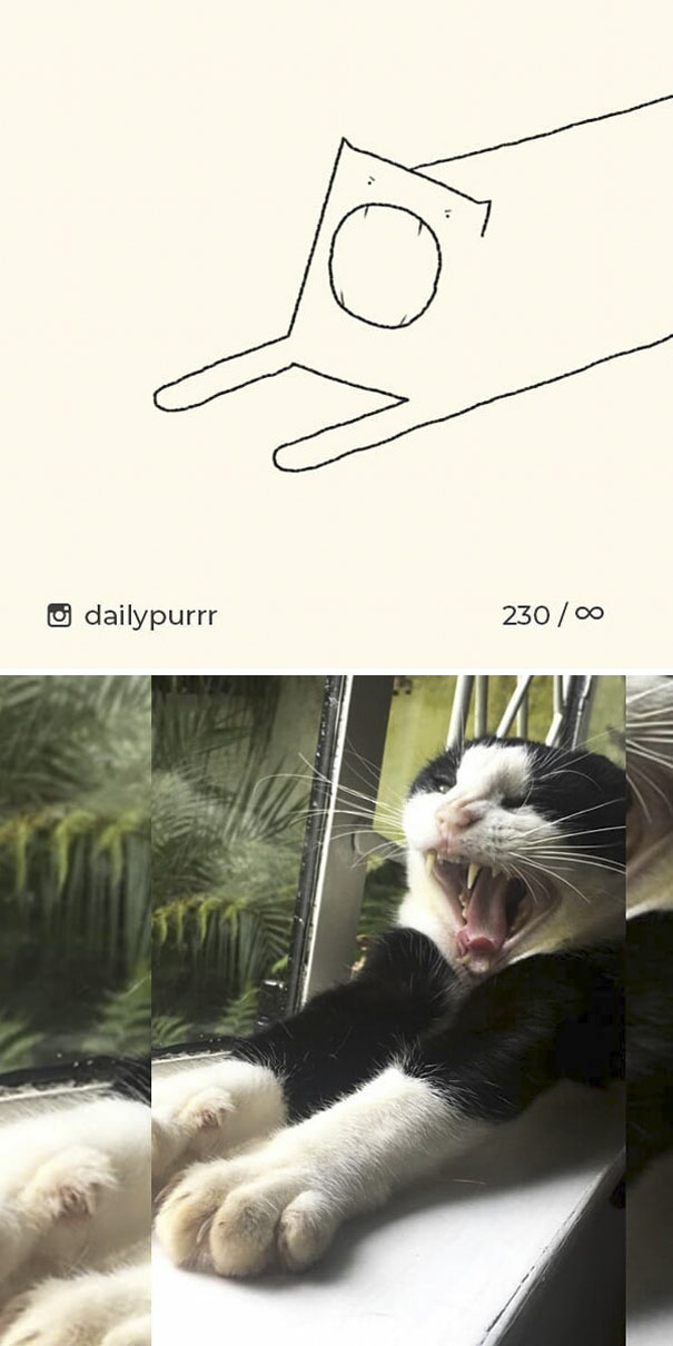 stupid-cat-drawings-dailypurrr-72-5af0211ea9c21_605.jpg