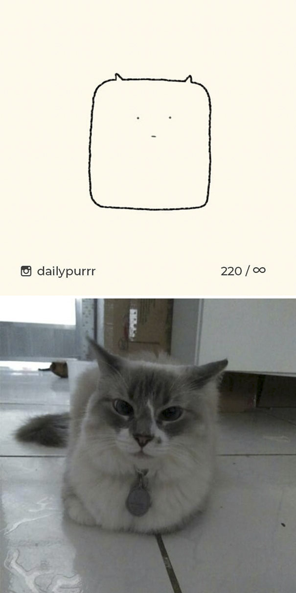 stupid-cat-drawings-dailypurrr-74-5af021363d410_605.jpg
