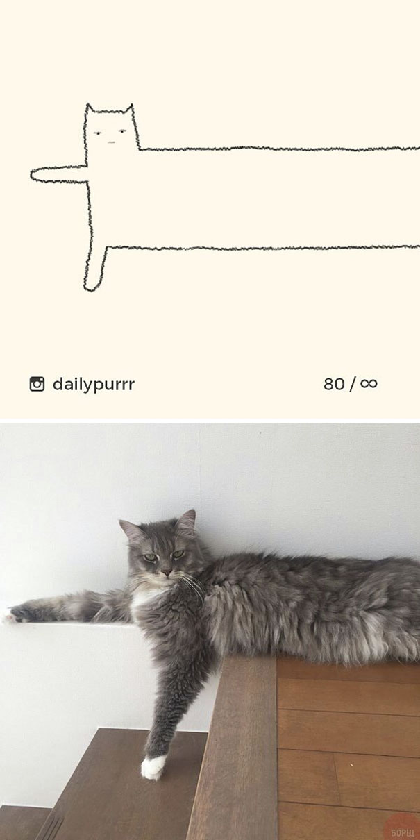 stupid-cat-drawings-dailypurrr-93-5af0185ada8f9_605.jpg