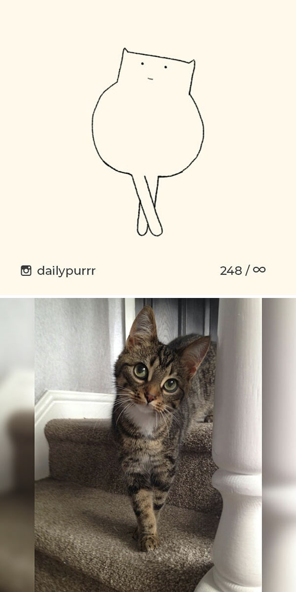 stupid-cat-drawings-dailypurrr-96-5af0186080e01_605.jpg