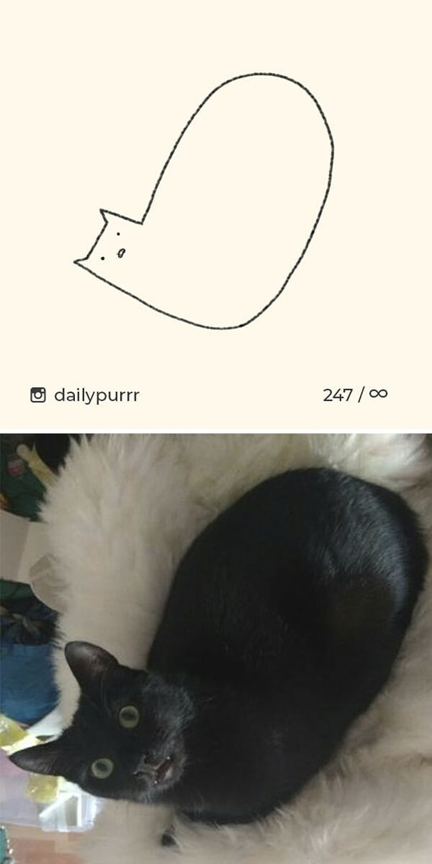 stupid-cat-drawings-dailypurrr-98-5af018653d316_605.jpg