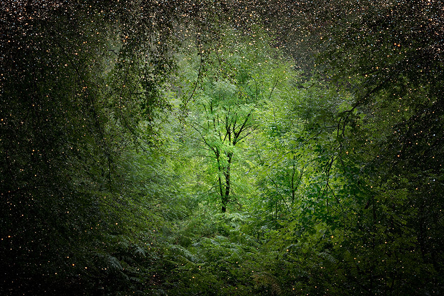 surreal-forest-photograhy-ellie-davis-12_880.jpg