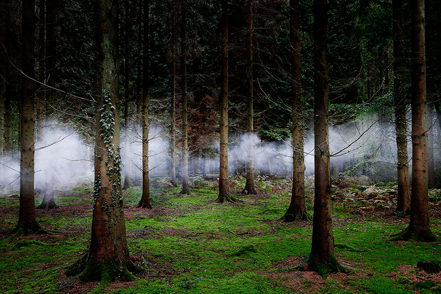 surreal-forest-photograhy-ellie-davis-2_880.jpg