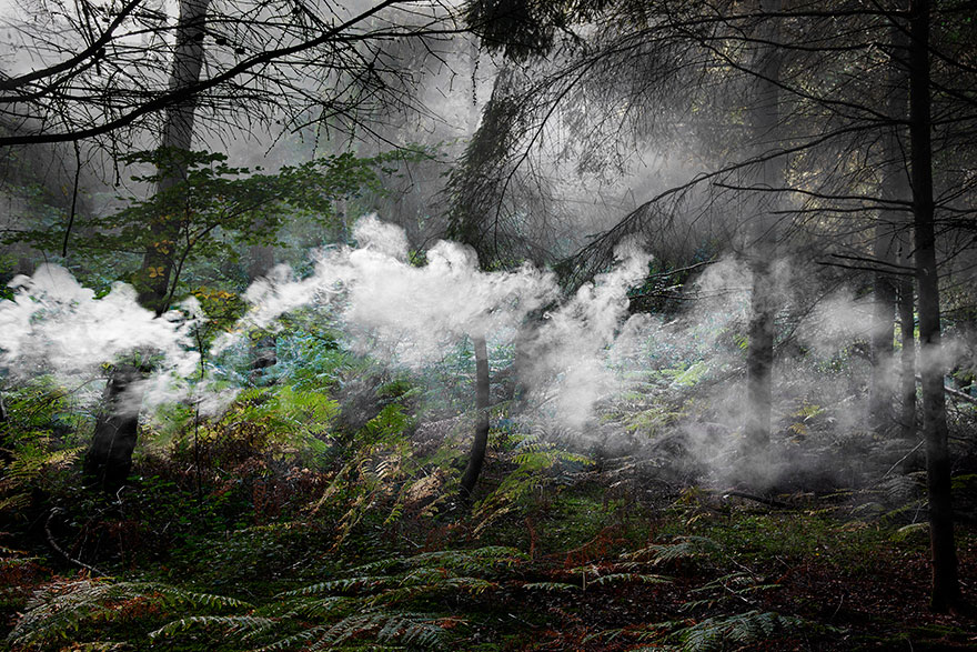 surreal-forest-photograhy-ellie-davis-9_880.jpg