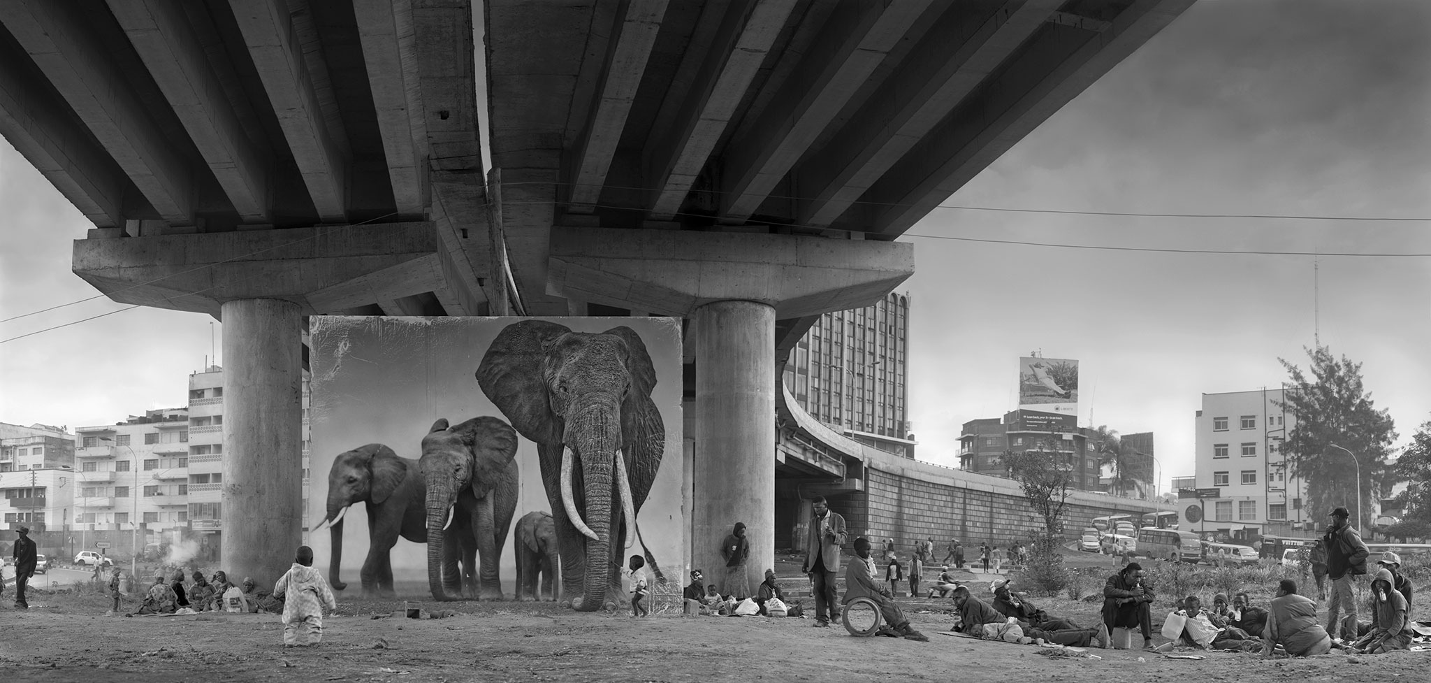 underpass-with-elephants-3800px.jpg