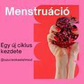 A menstruációs ciklus szakaszainak étrendi igényei III.