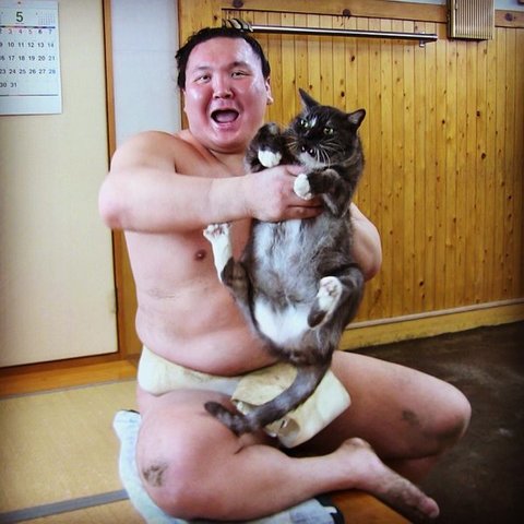 20170619-hakuho-mori.jpg