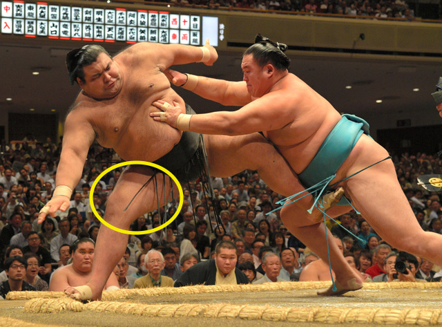 takayasu-combserules.jpg