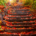 Itt van az ősz… Ayurvedikus tanácsok az őszre