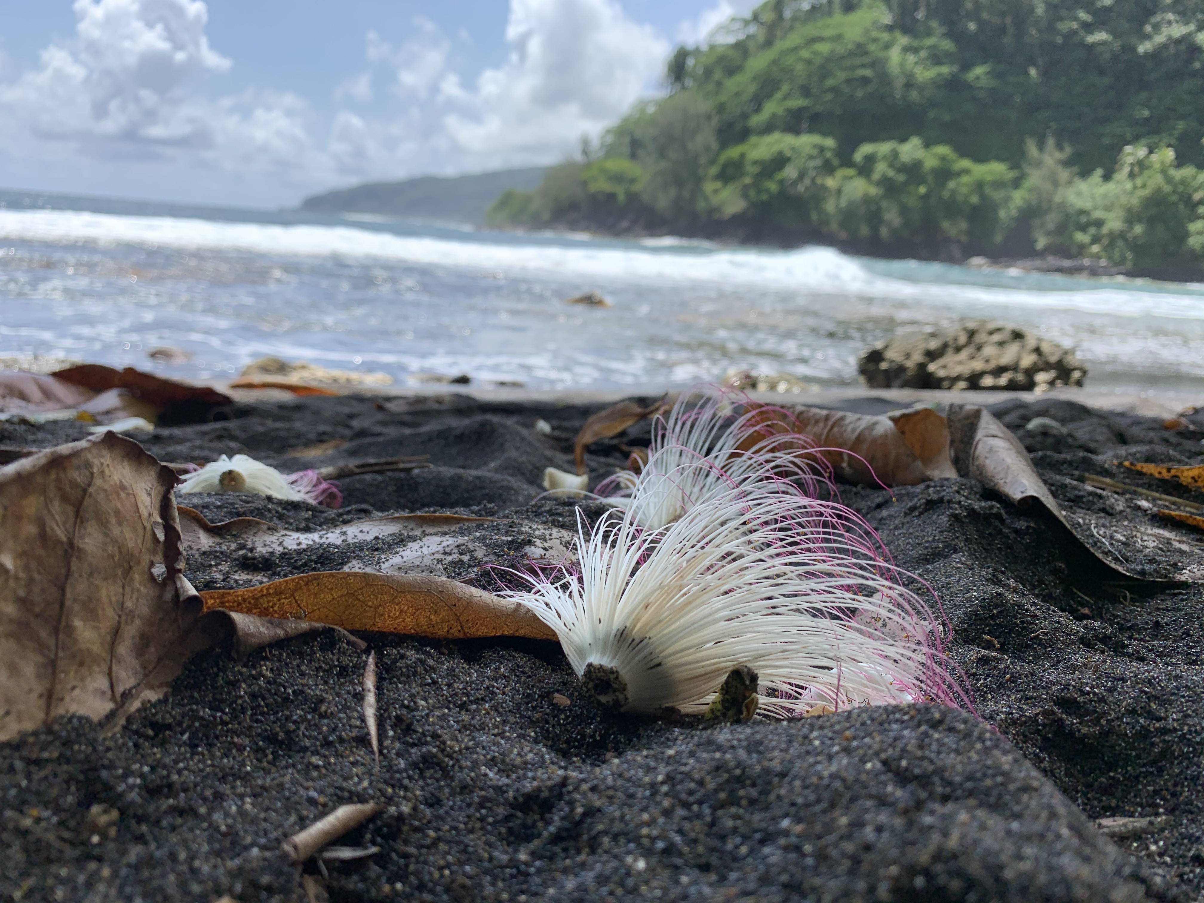 Fekete homokos tengerpart Tahiti nuin