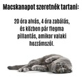 Ez az ünnepnap pont tökéletes hozzá