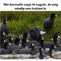 Honvédségbe is mehet