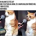 Vannak terveid a nyárra? 🥳