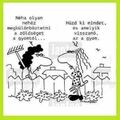 Nincs több laca faca