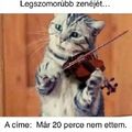 Kisfiamtól is hallom ezt naponta