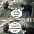Gondolom jó sokat!